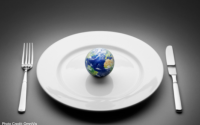 Food Safety in a Global Context: Challenges and Solutions
