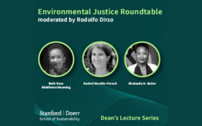 Dean’s Lecture Series: Environmental Justice Roundtable