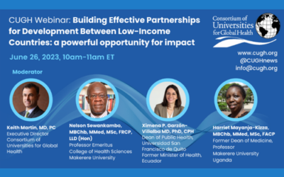 Building Effective Partnerships for Development Between Low-Income Countries: A Powerful Opportunity for Impact