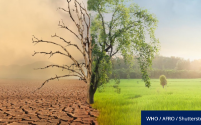 WHO Technical Webinar Series on Climate Change and Health