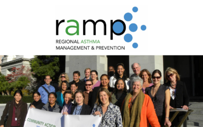 Community Action to Fight Asthma Virtual Summit