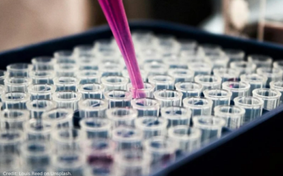 Roche secures FDA EUA for PCR test