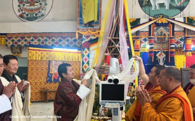 Health and Happiness in the Himalayas: Supporting Bhutan’s Healthcare Landscape