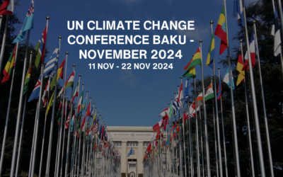 COP29