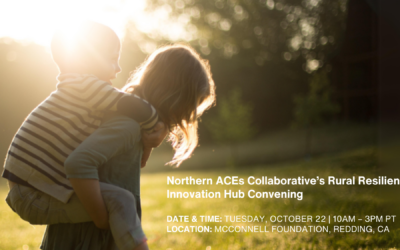 Northern ACEs Collaborative’s Rural Resilience Innovation Hub Convening