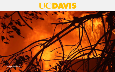 Campus Joins Together to Provide Support for LA Fires